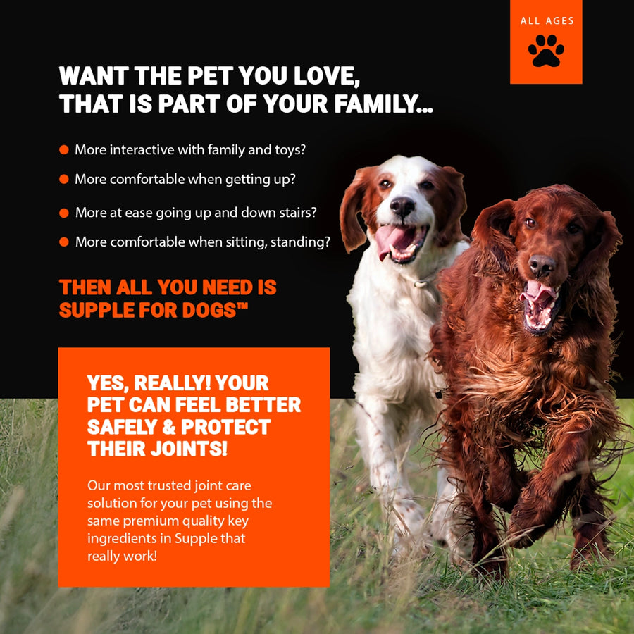 Two dogs running on grass with promotional text about a pet supplement for joint health.