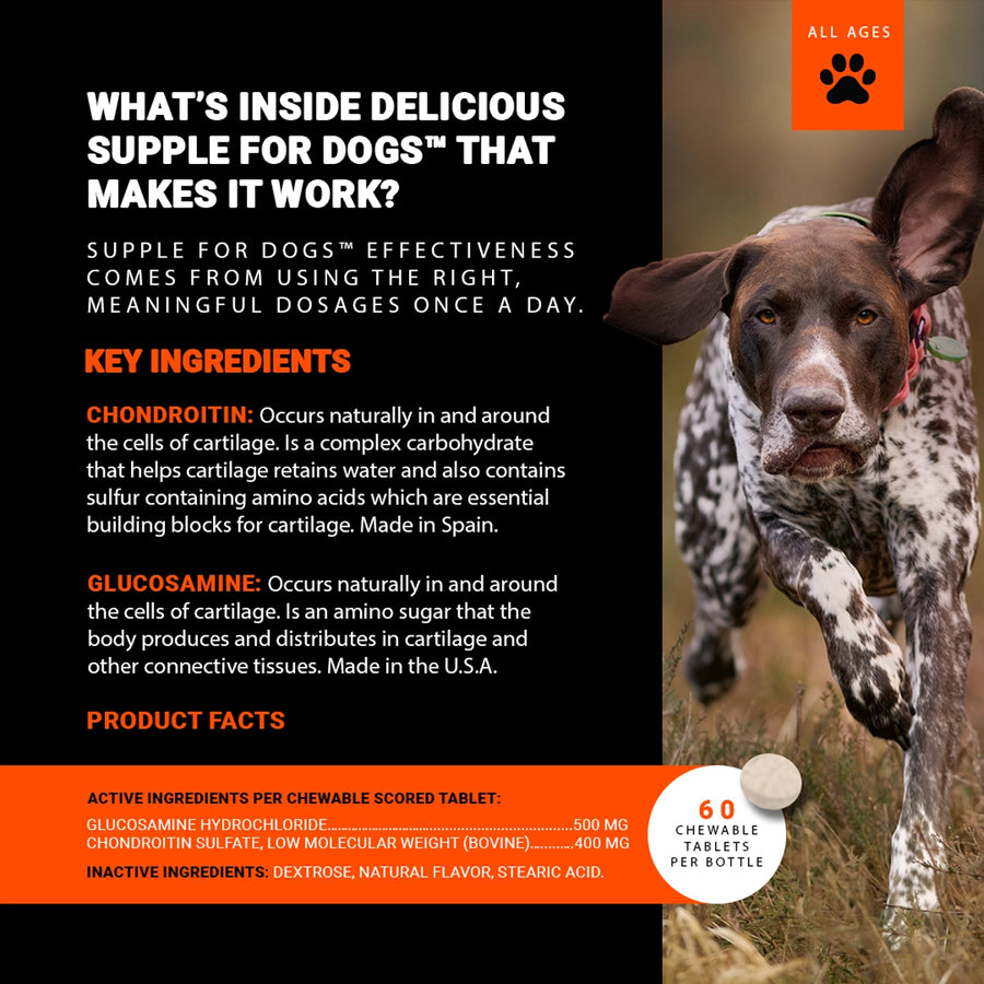 Dog supplement product with text about key ingredients and effectiveness