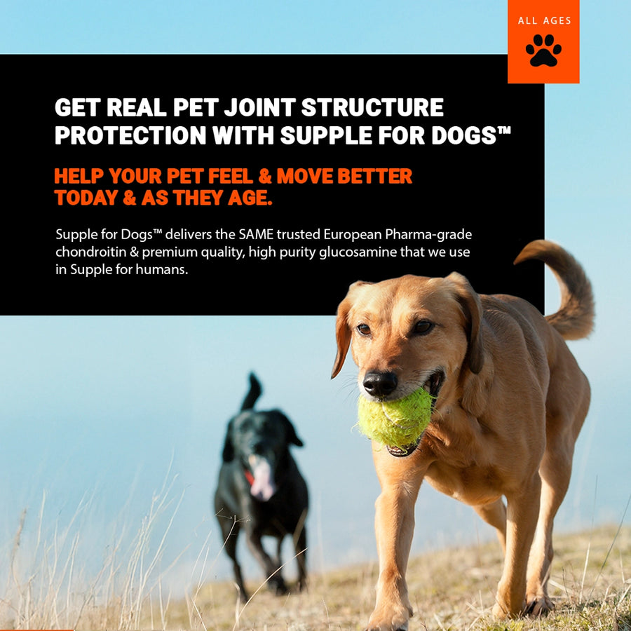 Dog playing with a ball in an outdoor setting with promotional text for Supple for Dogs supplement.