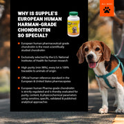 Supplement bottle with a dog on a leash in the background, promoting Supple's European human harman-grade chondroitin.