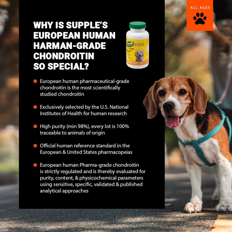 Supplement bottle with a dog on a leash in the background, promoting Supple's European human harman-grade chondroitin.