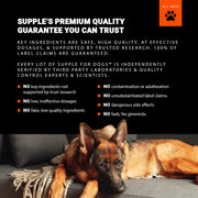 Dog lying on a couch with text about Supple's premium quality dog products.