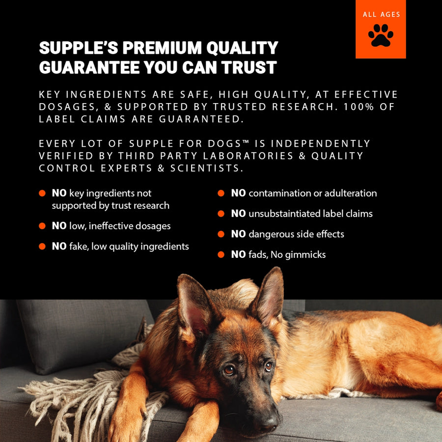 Dog lying on a couch with text about Supple's premium quality dog products.